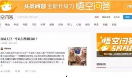 新闻爆料会侵权吗知乎,探讨知乎生成概述文章可能引发的侵权问题